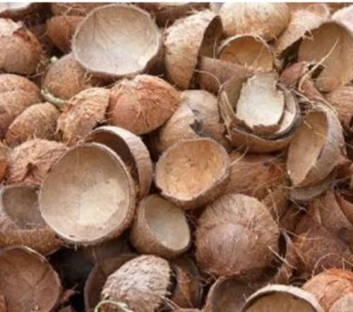 Organic Natural Dry Coconut Shell