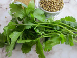Organic Fresh Coriander/Dhaniya leaves