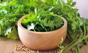 Organic Fresh Coriander/Dhaniya leaves