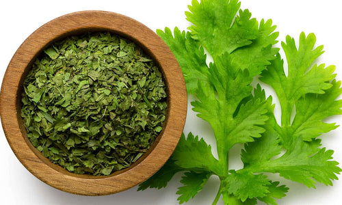 Organic Dried Coriander Leaves*