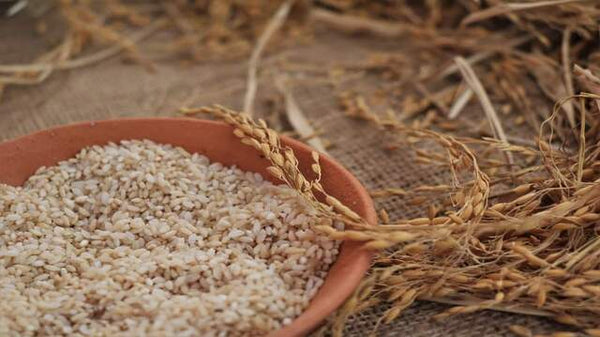 Organic Dheki Handpounded Rice