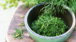 Organic Dill/Sabakki Leaves Chopped