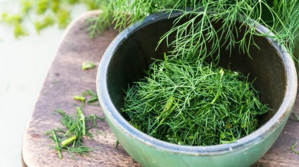 Organic Dill/Sabakki Leaves Chopped