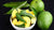 Organic Raw Pickle  Mango (Amlet)-Wholesale