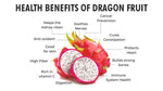Organic Dragon Fruit Red Diced