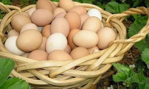 Organic Country Eggs Free Range (Pack of 6Pcs)*
