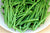 Organic French / Ring Beans- OFFER