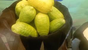 Organic Gandharaj Lemon (Kagzi Nibu)
