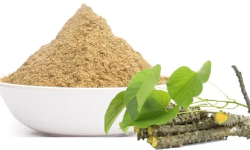 Organic Giloy/Guduchi/Gulvel Stem Powder