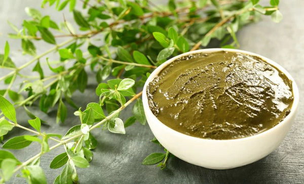 Organic Henna (Mehandi) Fresh Leaves  Paste