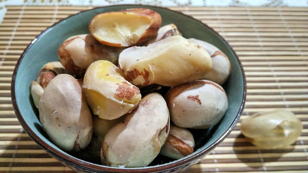 Organic Jackfruit Seeds Steamed