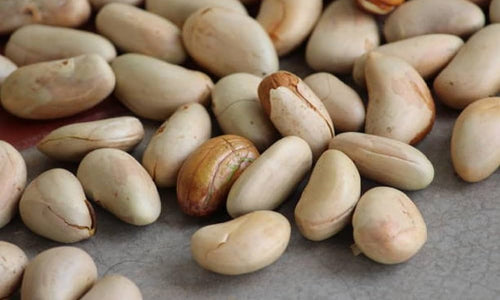 Organic Jackfruit Seeds Sun Dried