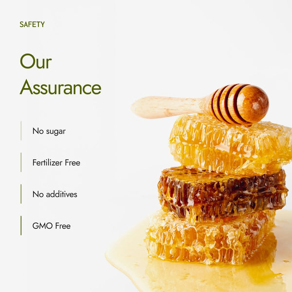 Organic Certified Honey| NMR tested | Unprocessed & Unpasteurized Honey |100% Raw Pure & Natural