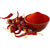 Organic Kashmiri Red Chilli powder*