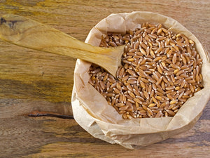 Organic Khapli/Emmer Unpolished Wheat Whole Grains
