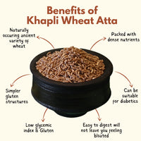 Organic Khapli/Emmer Unpolished Wheat Whole Grains