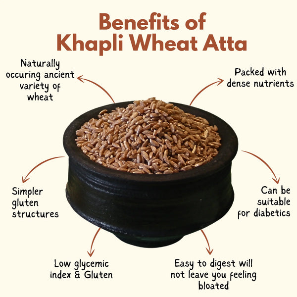 Organic Khapli/Emmer Unpolished Wheat Whole Grains