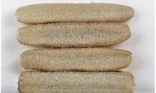 Organic Luffa (Ridge Guard) Loofah