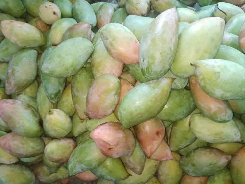 Organic Raw Mango (Tothapuri)-Wholesale