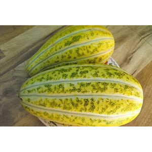 Organic Muskmelon Stripes