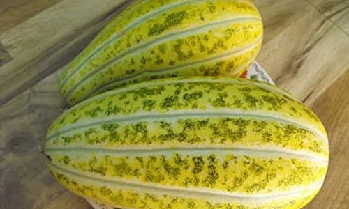 Organic Muskmelon Stripes