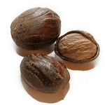 Organic Nutmeg/Jaifal/Javitri