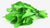 Organic Spinach/Palak Leaves