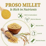 Organic Proso Millet Rice / Barigalu