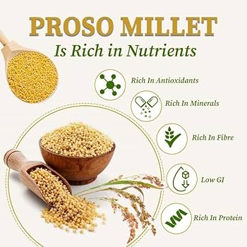 Organic Proso Millet Rice / Barigalu