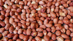 Organic Roasted Dry Peanuts