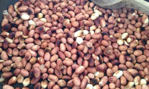 Organic Roasted Dry Peanuts