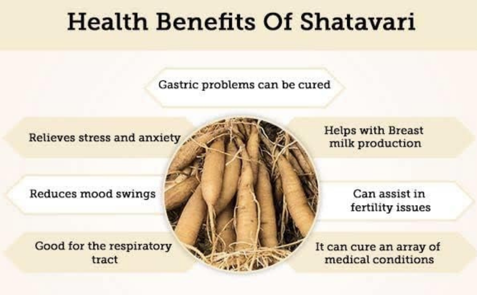 Organic Shatavari Roots / White Asparagus Racemosus Powder – GreenDNA® India