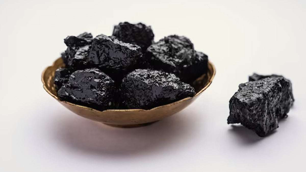 隕石 Sijoté-Alín. 189gr. shilajit2_1200x.jpg?v=1714488682