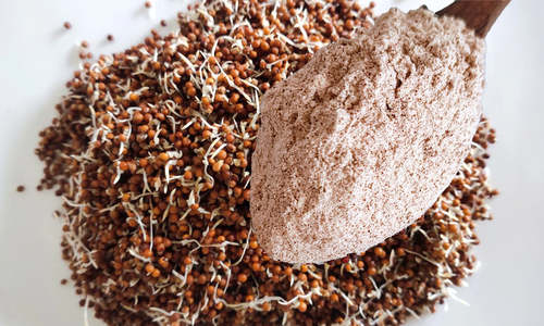 Organic Sprouted Finger Millet-Ragi Flour