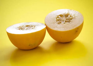 Organic Sun Melon