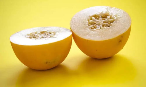 Organic Sun Melon