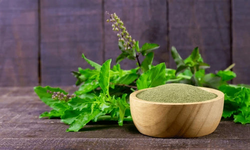 Organic Holy Basil / Tulsi Leaves Powder
