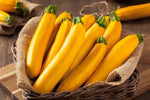 Organic Zucchini Yellow Diced