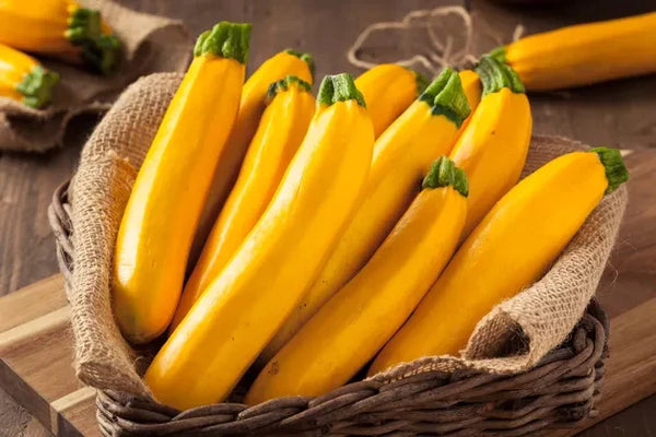 Organic Zucchini Yellow