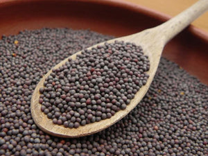 Organic Mustard Seeds-Offer