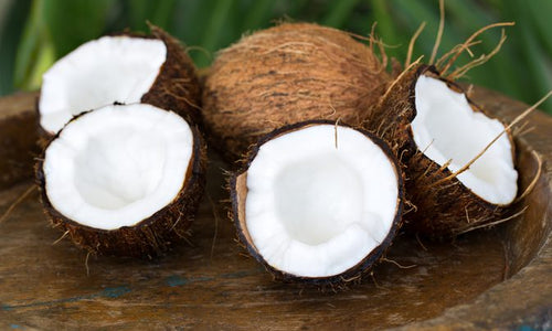 Organic Coconut Medium