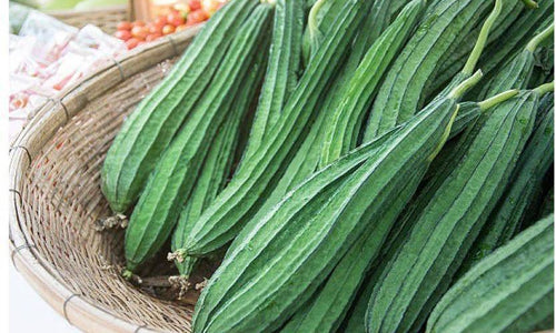 Organic Ridge gourd