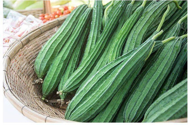 Organic Ridge gourd