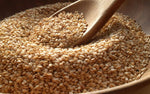 Organic Sesame White Seeds