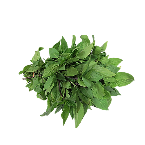 Organic Basil Leaf