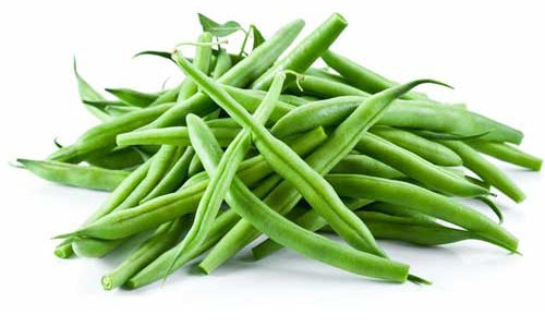 Organic French / Ring Beans