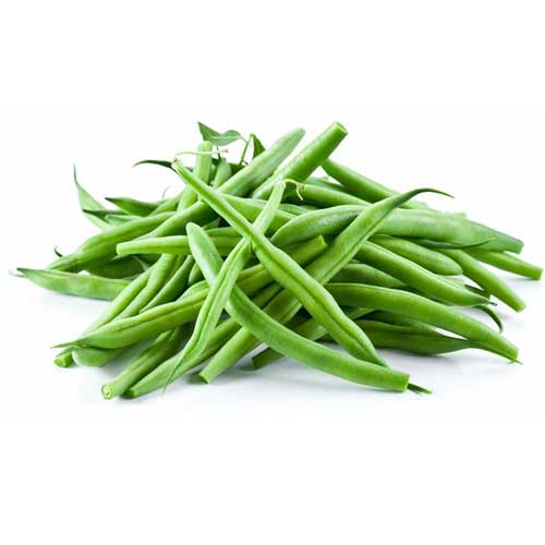 Organic French / Ring Beans