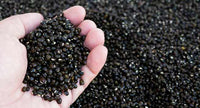 Organic Urad Dal whole black (Gluten-Free)