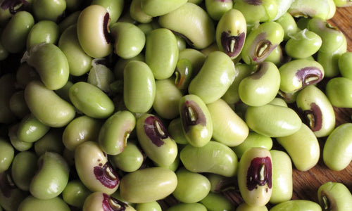 Organic Black Eyed Peas Fresh-Peeled
