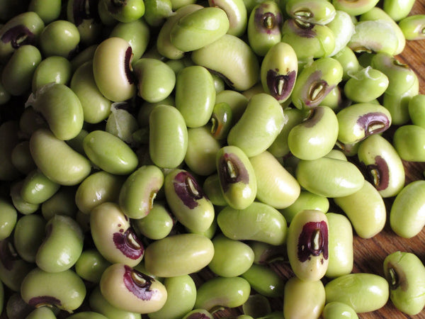 Organic Black Eyed Peas Fresh-Peeled